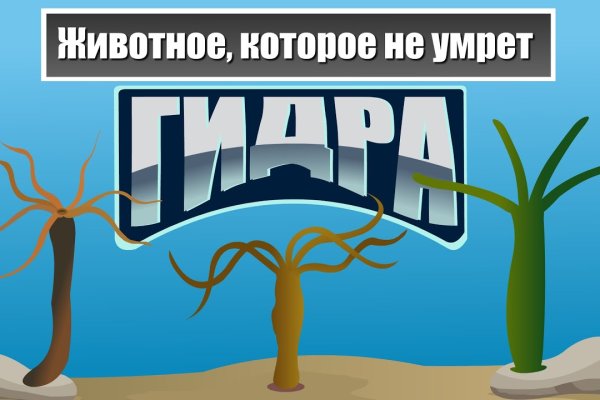 Кракен ты знаешь где покупать