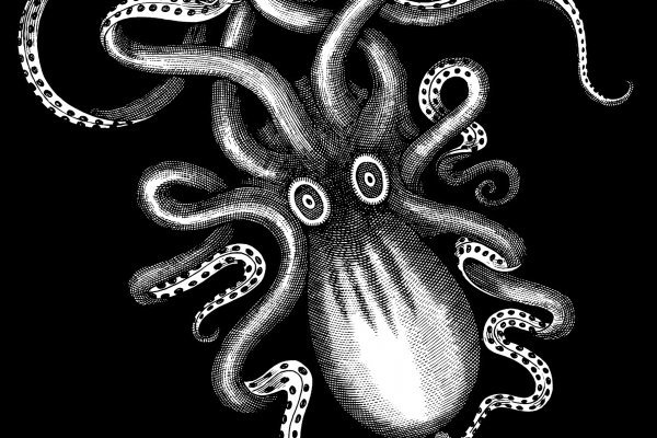 Kraken зеркало kraken dark link