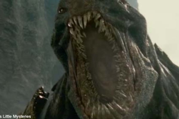 Kraken 6at